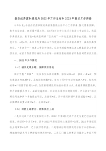 县自然资源和规划局20XX年工作总结和20XX年重点工作安排