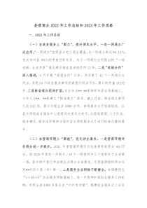 县营商办20XX年工作总结和20XX年工作思路
