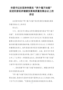 市委书记在坚持和落实“两个毫不动摇” 促进民营经济健康发展高质量发展会议上的讲话