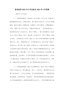 县财政局20XX年工作总结及20XX年工作思路