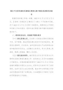 镇关于区委巡察组巡察镇反馈意见集中整改进展情况的报告