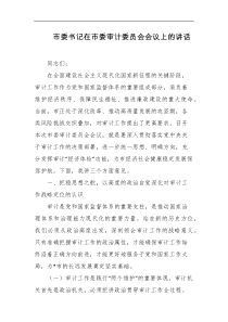 市委书记在市委审计委员会会议上的讲话