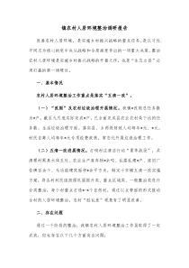 镇农村人居环境整治调研报告