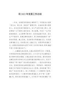 司20XX年党委工作总结