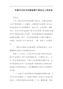 市委书记在市纪委监委干部会议上的讲话