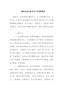 镇机关党支部书记工作述职报告