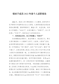 镇班子成员20XX年度个人述职报告