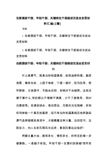 在新提拔干部、年轻干部、关键岗位干部座谈交流会发言材料(新编2篇)
