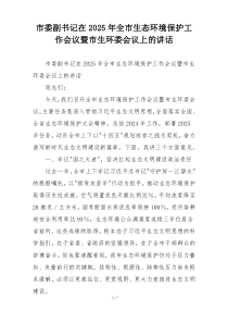 市委副书记在2025年全市生态环境保护工作会议暨市生环委会议上的讲话