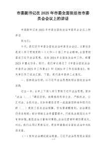 市委副书记在2025年市委全面依法治市委员会会议上的讲话