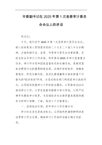 市委副书记在2025年第1次县委审计委员会会议上的讲话