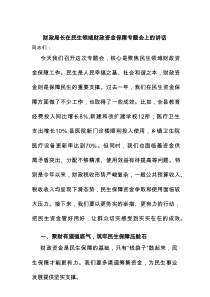 财政局长在民生领域财政资金保障专题会上的讲话