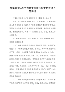 市委副书记在全市命案防控工作专题会议上的讲话
