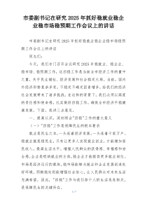 市委副书记在研究2025年抓好稳就业稳企业稳市场稳预期工作会议上的讲话