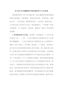 在20XX年主题教育中深化理论学习工作总结