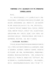 市委常委会扩大会议暨全市2025年二季度经济运行调度会上的讲话