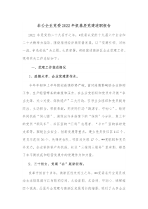 非公企业党委20XX年抓基层党建述职报告