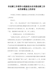 市巡察工作领导小组副组长在市委巡察工作动员部署会上的讲话