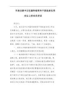 市政法委书记在副科级领导干部选拔任用会议上的动员讲话