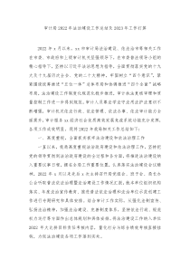 审计局20XX年法治建设工作总结及20XX年工作打算