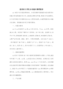 驻某村工作队乡村振兴调研报告