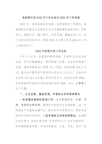 局招商引资20XX年工作总结及2024年工作思路