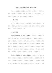 局机关人大代表建议办理工作总结
