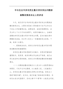 市长在全市涉农民生重点项目突出问题排查整改推进会议上的讲话