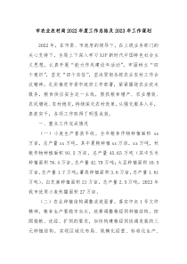 市农业农村局20XX年度工作总结及20XX年工作谋划