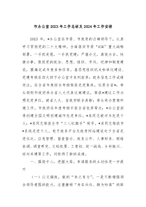 市办公室20XX年工作总结及2024年工作安排