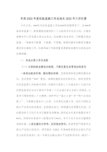 市局20XX年度纪检监察工作总结及20XX年工作打算