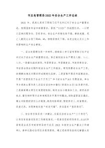 市应急管理局20XX年安全生产工作总结