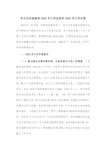 市文化和旅游局20XX年工作总结和20XX年工作打算