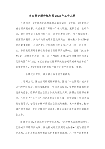 市自然资源和规划局20XX年工作总结