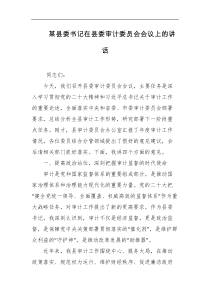 某县委书记在县委审计委员会会议上的讲话