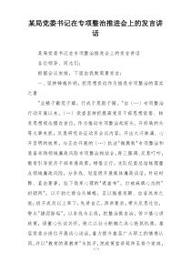某局党委书记在专项整治推进会上的发言讲话
