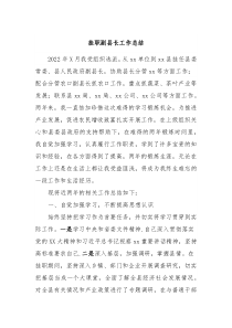 挂职副县长工作总结