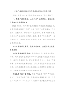 文体广旅局20XX年工作总结和2024年工作打算