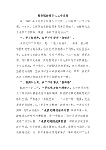 村书记助理个人工作总结