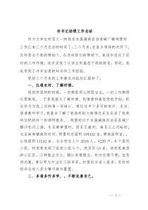 村书记助理工作总结