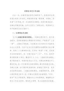 村委会书记工作总结