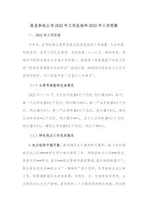 某县供电公司20XX年工作总结和20XX年工作思路