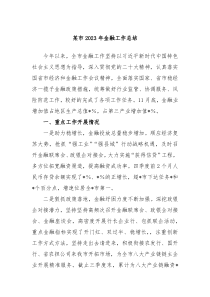 某市20XX年金融工作总结
