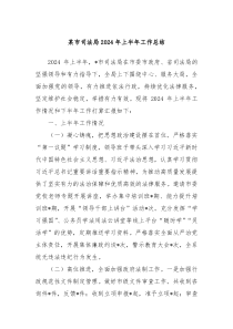 某市司法局2024年上半年工作总结