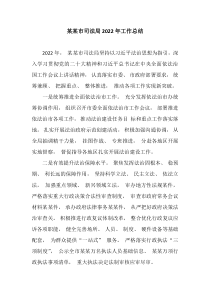 某某市司法局20XX年工作总结