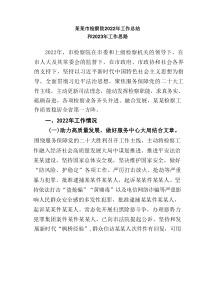 某某市检察院20XX年工作总结和20XX年工作思路