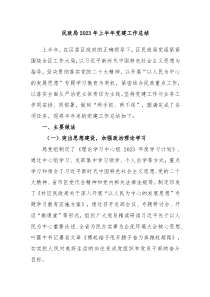 民政局20XX年上半年党建工作总结