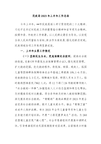 民政局20XX年上半年工作总结