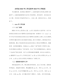 水利站20XX年工作总结和20XX年工作规划