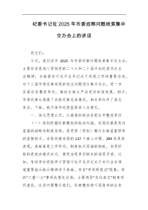 纪委书记在2025年市委巡察问题线索集中交办会上的讲话
